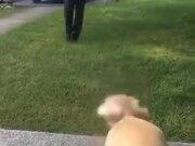 PDFtoPNG(PDF转换PNG)