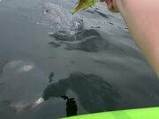 河南汽车维修平台APP