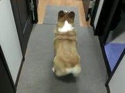 kaiyun官网首页安卓版二维码