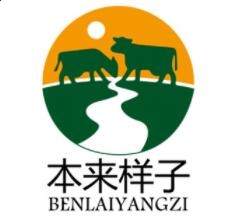 3dmax场景助手2019