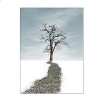 万世博app安卓版二维码