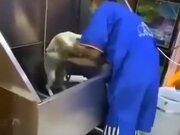 王汉宗超明体繁