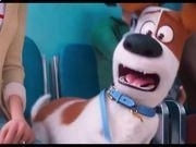 闪游浏览器(saayaa)