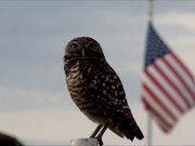 亿白体育appV5.2专业版