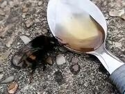 彩神APP注册V1.5专业版