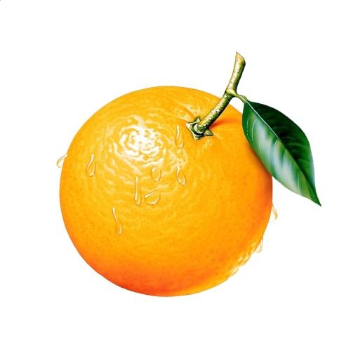 天空之城1.0.6无cdp闪版