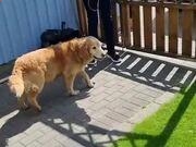 河南汽车维修平台APP