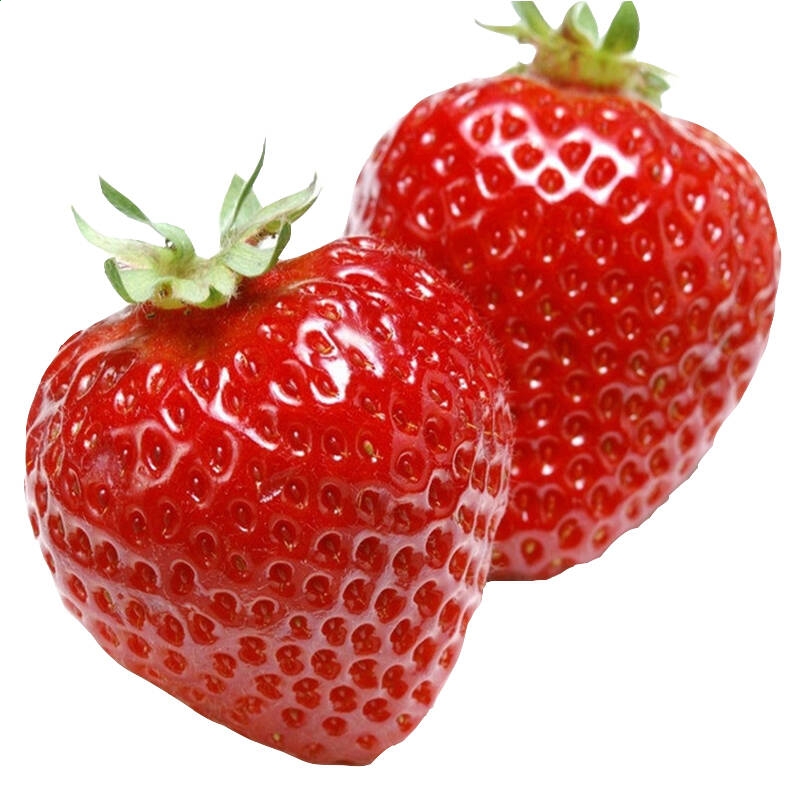 24500皇冠比分V2.2专业版