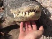 54体育appV6.8专业版