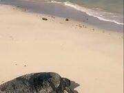 kaiyun.cn网站安卓版二维码