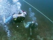 PG电子官网入口V5.7专业版