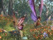 honeappV5.5专业版