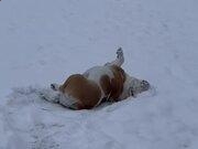 河南汽车维修平台APP