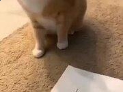 7788彩票网app2025版新武器展示