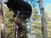 918天堂博官网安卓版二维码