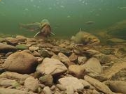 河南汽车维修平台APP