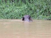 太阳集团tyc539app