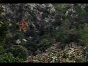 博鱼体育登录V1.3专业版