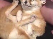 河南汽车维修平台APP