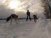 博雅捕鱼appV1.3专业版