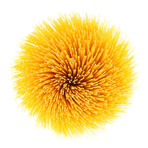 老百汇4001V2.6专业版