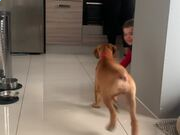 云开体育app官方下载V4.4专业版