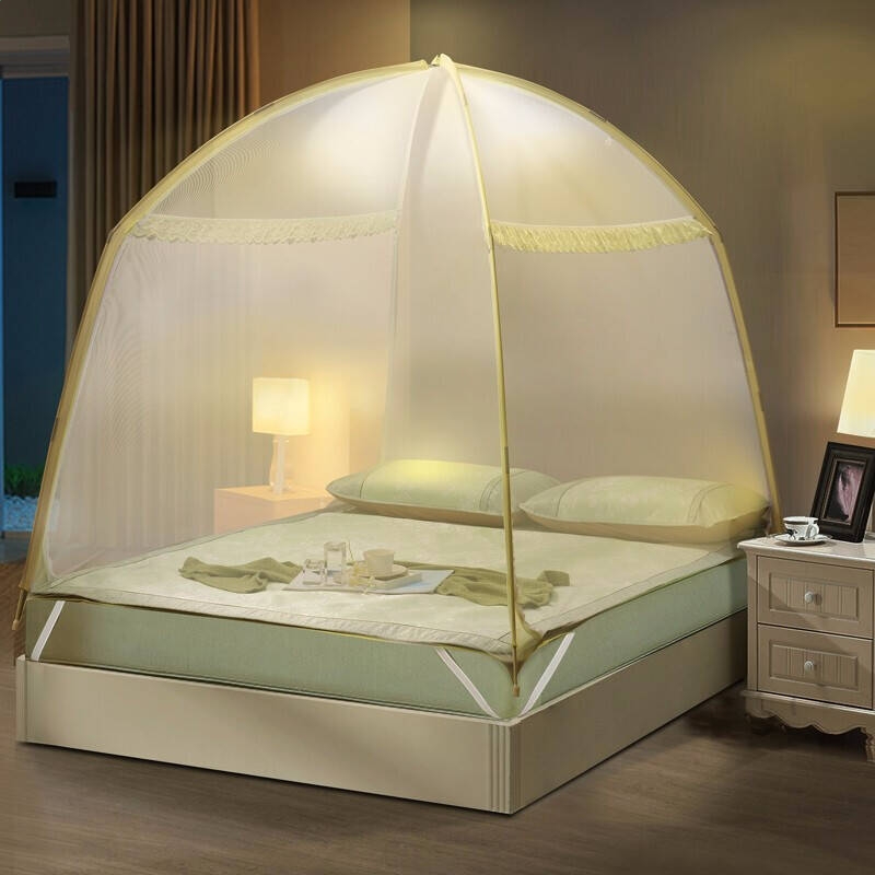 dg梦幻游乐城APPV5.9专业版