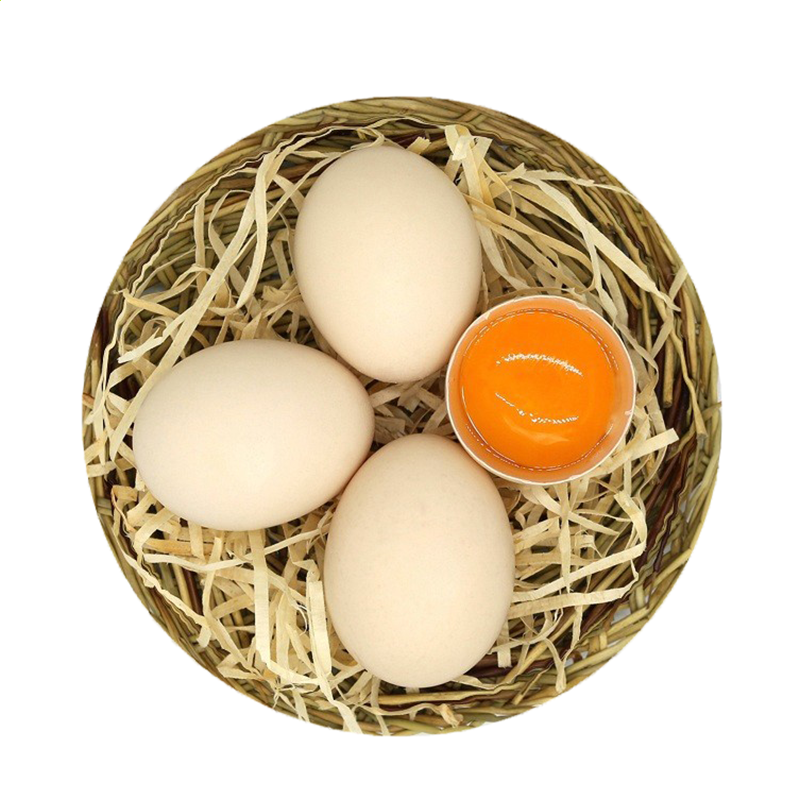 kaiyun体育app官方网站登录入口2025版名将合击技能演示