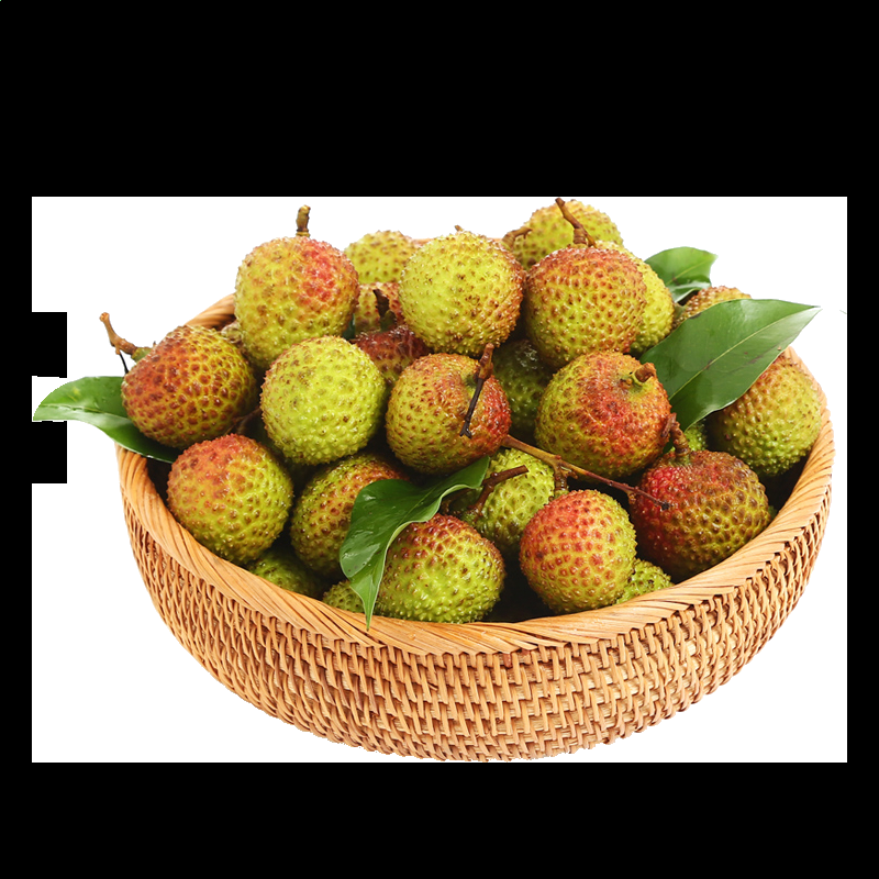 新葡萄8883appV8.3专业版