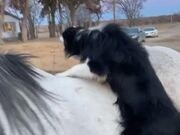 快直播appV2.8专业版