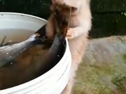 kaiyun体育app官网app下载安卓版二维码