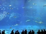 吉彩彩票大厅安卓版二维码