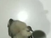 澳门十大休闲娱乐官网