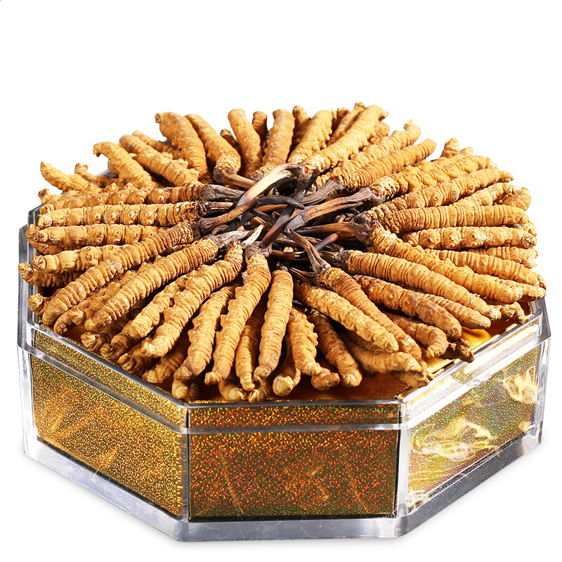 灵魂筹码王权不朽2025版账号登录与角色选择界面