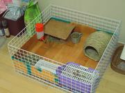 竞技下注平台登录V2.4专业版