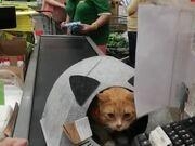 NG体育·南宫2025最新版开封城全景