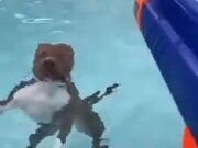 糖果派appV6.6专业版