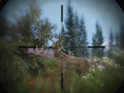 河南汽车维修平台APP