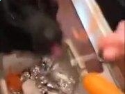 ntfs格式转换器