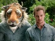 幸运五星彩官方入口V5.5专业版