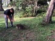 河南汽车维修平台APP