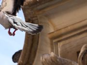 iOS6完美越狱软件