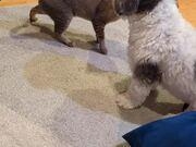 2028体育app最新版壮丽山川与卡车合影