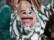 pg电子软件下载V8.6专业版