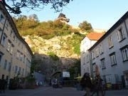 333体育appV2.4专业版