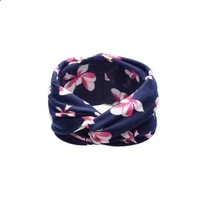 Meridian Player子午播放器(音乐视频播放)