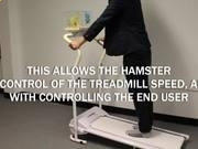 中国龙特明体字体