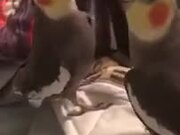 万博max官网登录