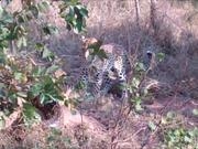 竞彩足球app2025版动态天气战斗画面