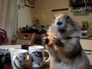 Kaiyun体育登录V4.1专业版